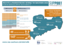 Opferberatung Support veröffentlicht Statistik rechtsmotivierter Gewalt in Sachsen 2022