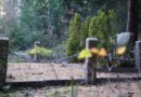 Kein Ort ist vergessen – Gedenkorte im Erzgebirge