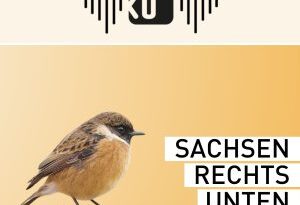 Sachsen rechts unten – Der Podcast Folge 7: Klimaschutz und Rechtsextremismus – Zwischen Wissenschaftsleugnung und Ökofaschismus