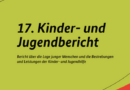 17. Kinder- und Jugendbericht