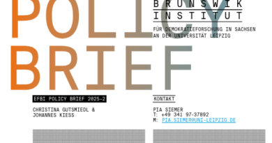 Policy Brief 2025-2: Protestberichterstattung an den Grenzen der Demokratie