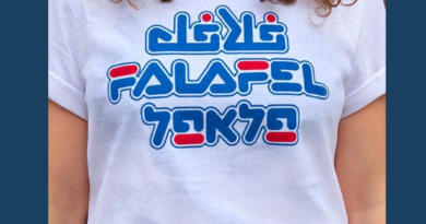 Perspektiven verstehen. Die umkämpfte Geschichte des Nahostkonflikts Perspektiven verstehen. Die umkämpfte Geschichte des NahostkonfliktsPerspektiven verstehen. Die umkämpfte Geschichte des Nahostkonflikts